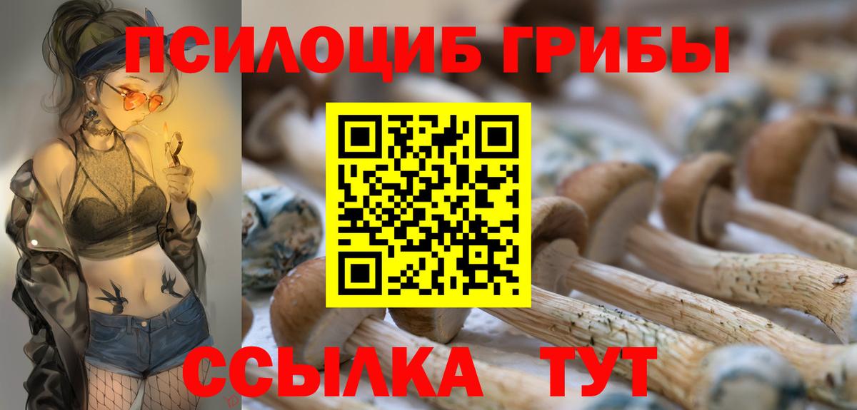 Галлюциногенные грибы мухоморы  Вход с VPN  Димитровград 